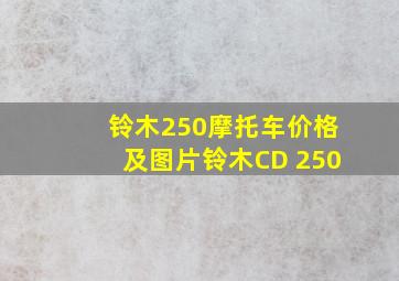 铃木250摩托车价格及图片铃木CD 250